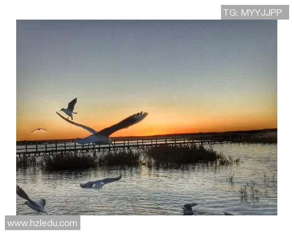 足球阿庆的传奇旅程：从草根球员到职业联赛的梦想追逐